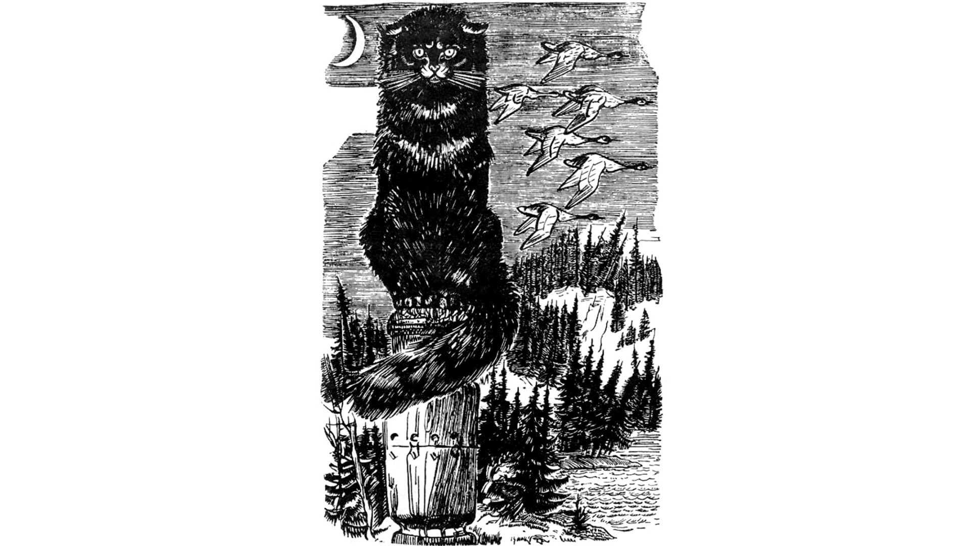 Cat Bajun